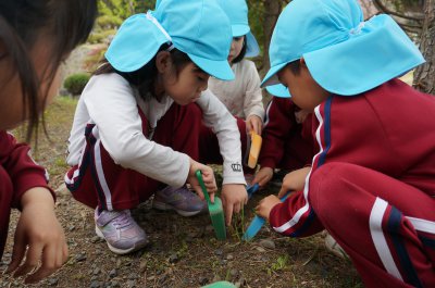 たけのこ にょっきっき 正福寺幼稚園ブログ